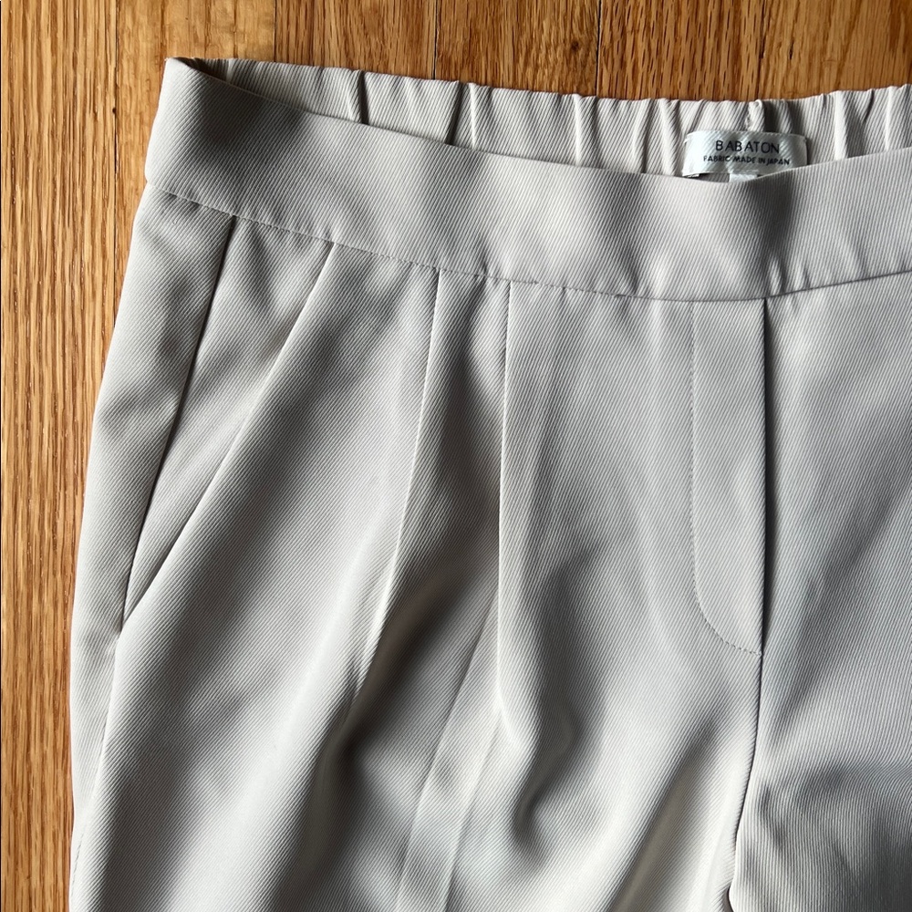 Babaton Aritzia Cohen Pleated Pants - Picture 4 of 5